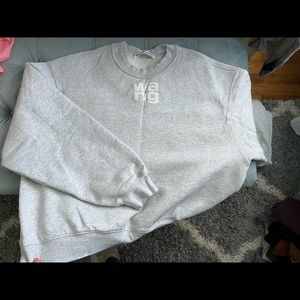 Alexander Wang Gray Sweatshirt